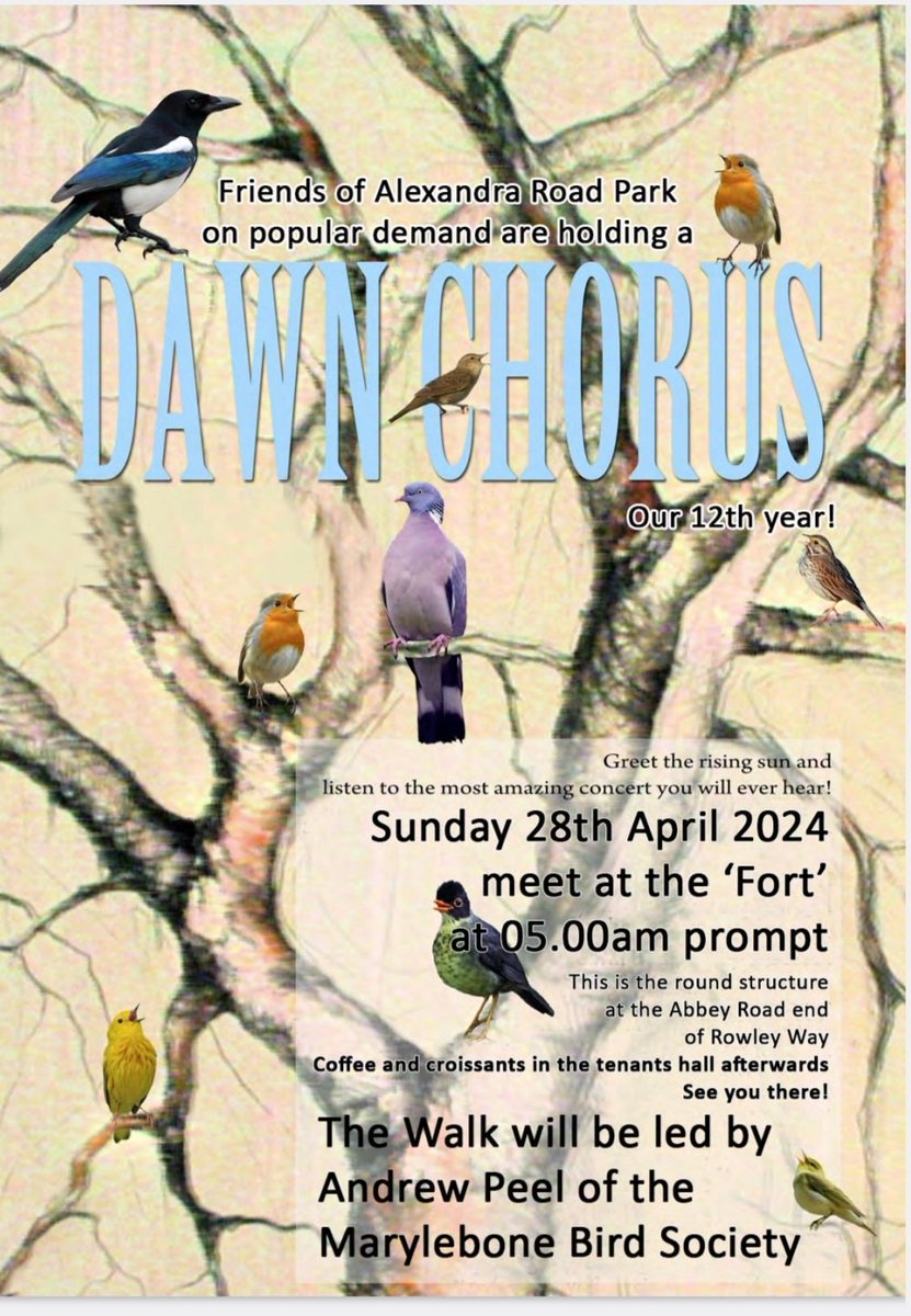 Join us this Sunday at 5am for our annual Dawn Chorus bird walk. Led by Marylebone Bird Society. All welcome. Dress warm. Free. Meet Abbey Road end of Rowley Way
<a href="/MPGALondon/">MPGA</a> <a href="/LifeInKilburn/">Life In Kilburn</a>