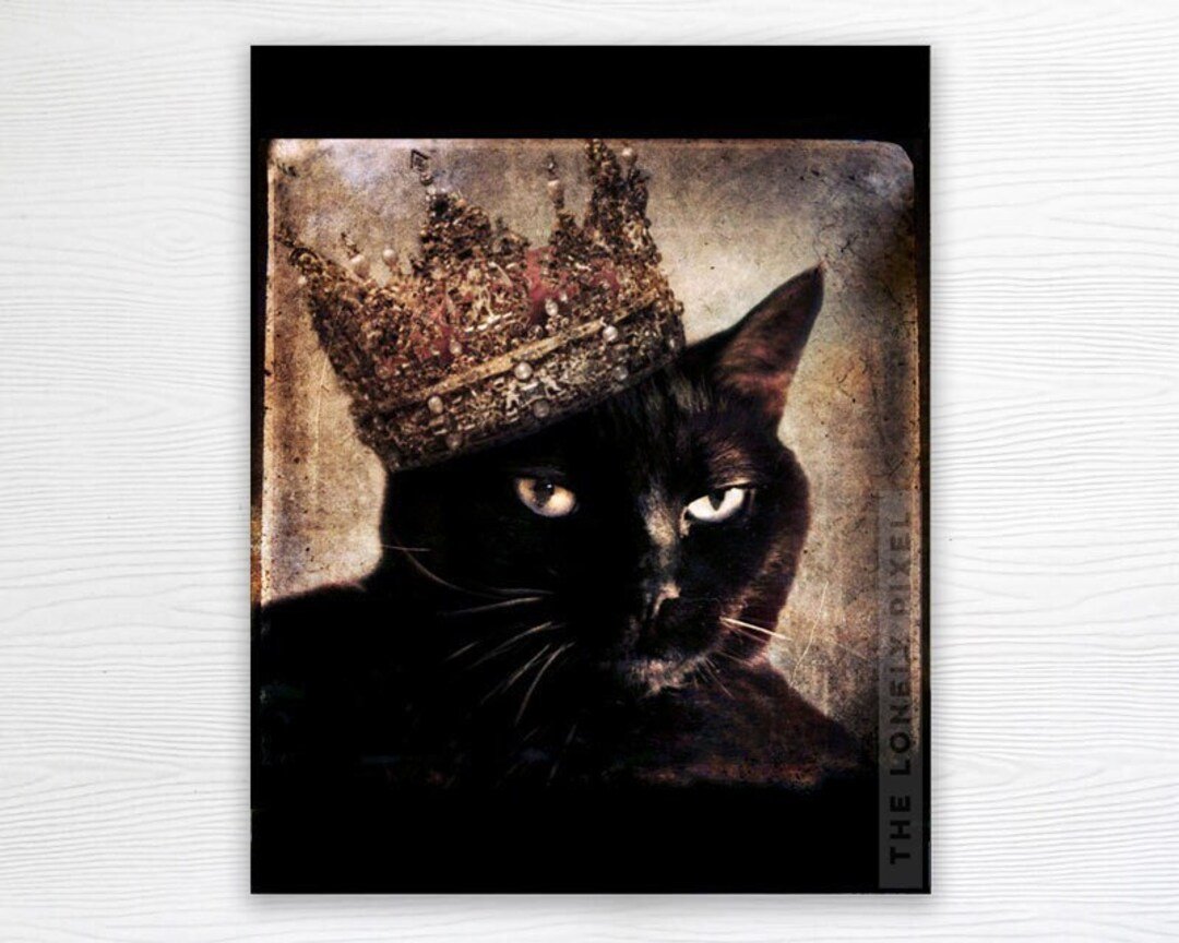 I just gave my cat a new honor: The Royal Companion of all Companions that ever Companioned for her Companionship in being a Companion above all other Companions. TAKE THAT KATE MIDDLETON!