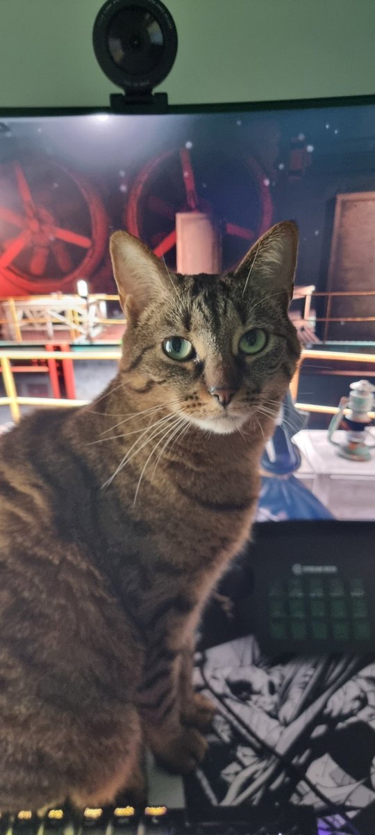 WakaChan 💜💛 tweet media