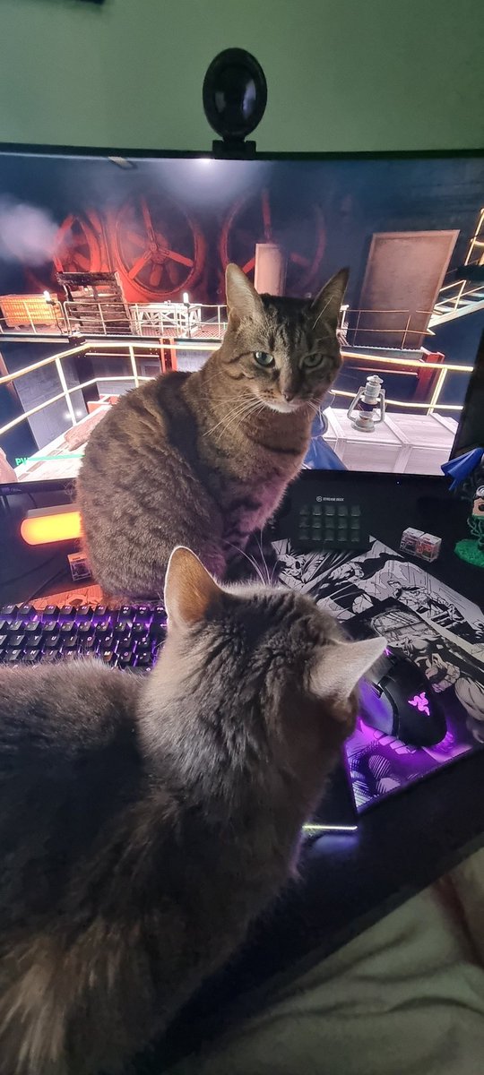 WakaChan 💜💛 tweet media