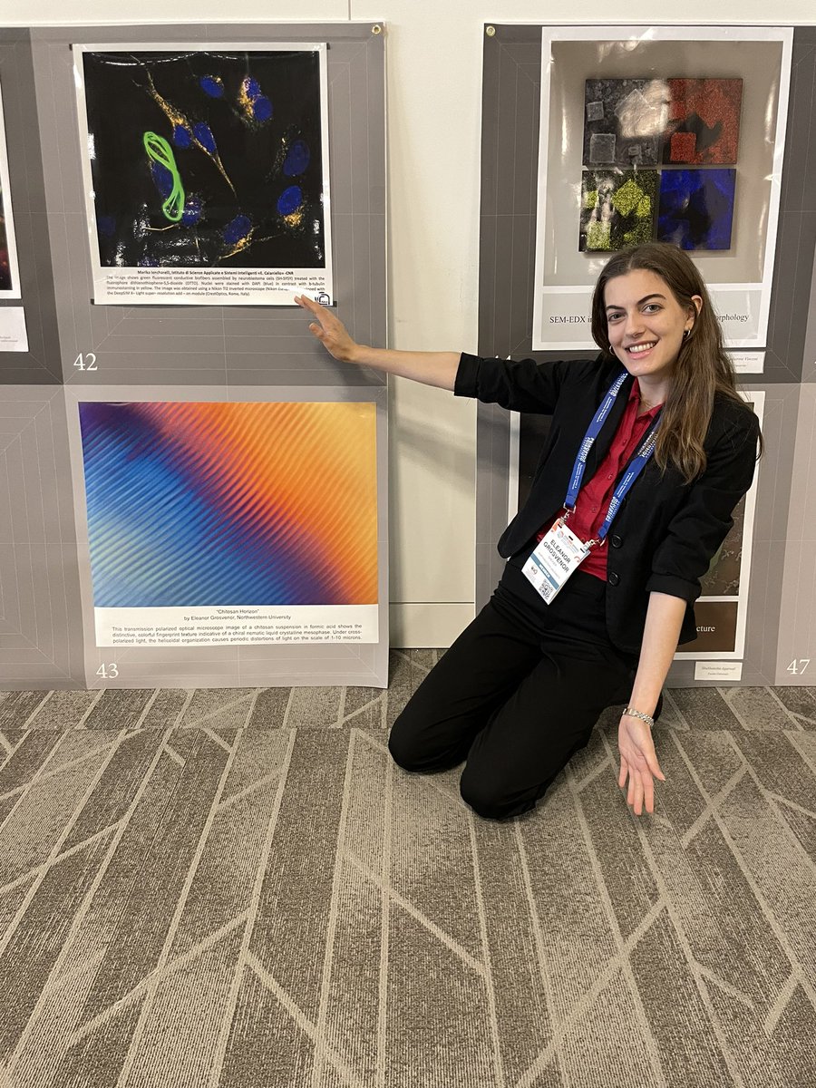 Check out my entry, “Chitosan Horizon” (43) in the #S24MRS Science as Art competition!