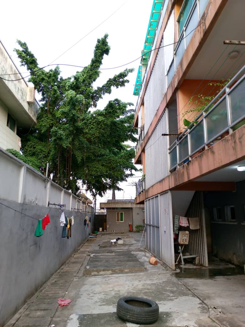 S2000Realtors's tweet photo. Urgent attention of Lagos State Government to an abandoned property in Victoria Island with overgrown tree, rodents, snakes etc trespassing from there to adjoining buildings @LasepaOfficial @followlasg @LAGESCOfficial @tokunbo_wahab pls act on the building at Plot 10 Idejo Str https://t.co/thxLvvvGYf