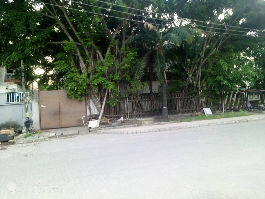 S2000Realtors's tweet photo. Urgent attention of Lagos State Government to an abandoned property in Victoria Island with overgrown tree, rodents, snakes etc trespassing from there to adjoining buildings @LasepaOfficial @followlasg @LAGESCOfficial @tokunbo_wahab pls act on the building at Plot 10 Idejo Str https://t.co/thxLvvvGYf
