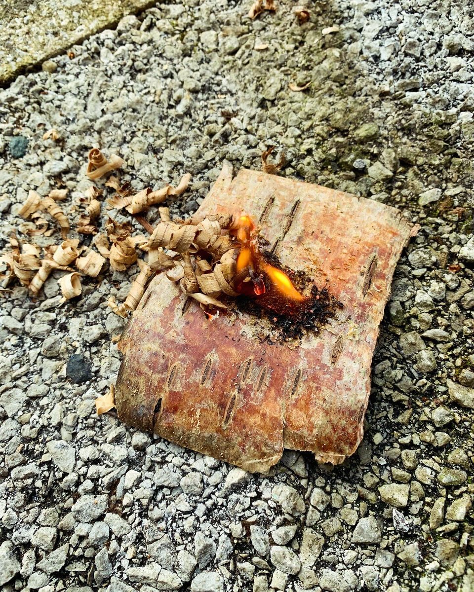 Tiny #Bushcraft wins - flames from birch bark and feather curls with a fire steel…