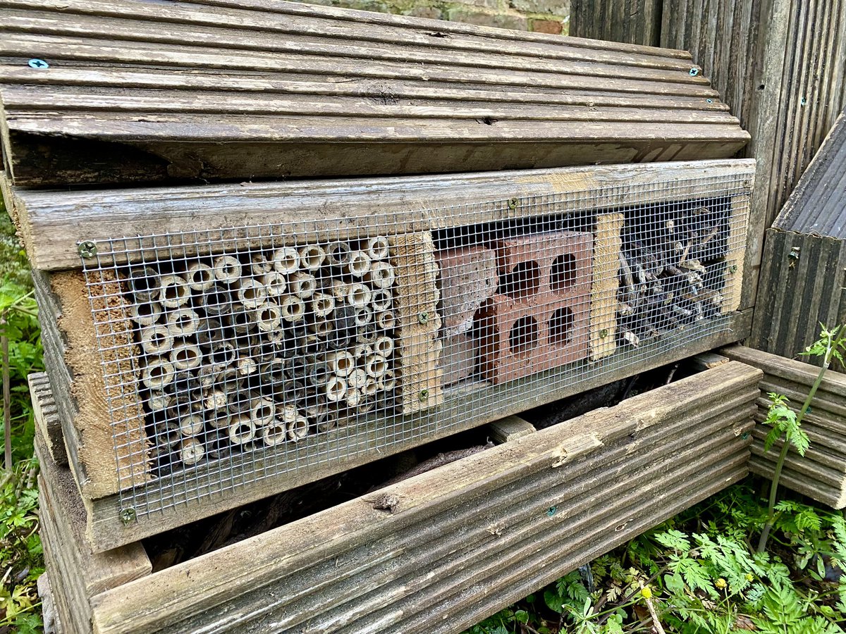 The latest addition to Holy Trinity Churchyard, our bug hotel. Thanks to the children at Holy Trinity Primary School @WillowsCE and First Shottery Beaver Scouts for making it. We look forward to the first guests moving in 🐞🪲