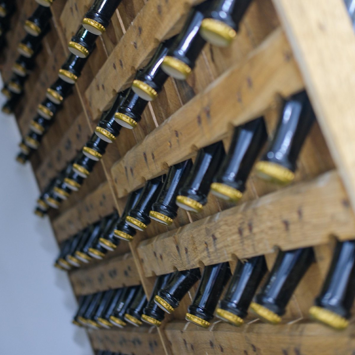 northumb_honey's tweet photo. Why do we age our mead upside down? 

Riddling, a traditional process, involves gradually rotating and tilting the bottles upside down over time. The yeast sediment moves towards the bottle neck, where it can be removed in an EXPLOSIVE process called 'disgorging' 🍾

#meadmaker https://t.co/huSDw65seF