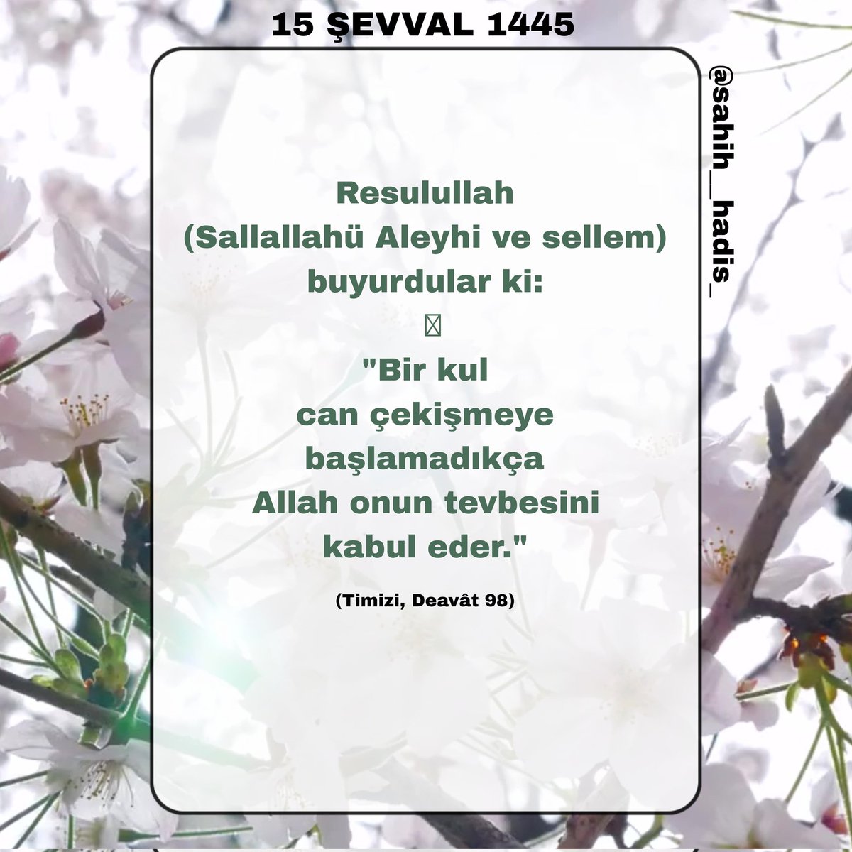 Resulullah (Sallallahü Aleyhi ve sellem) buyurdular ki: 'Bir kul can çekişmeye başlamadıkça Allah onun tevbesini kabul eder.' (Timizi, Deavât 98)