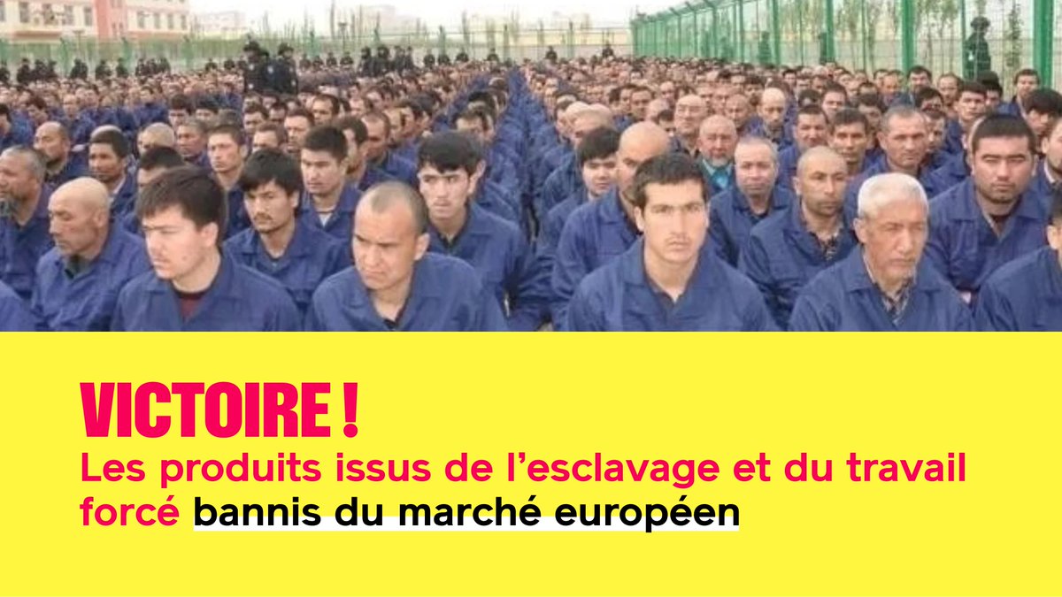 🇪🇺 Retour sur les votes d’hier au Parlement européen Et on commence par une victoire pour la @DSFEurope puisque les eurodéputés ont voté pour le bannissement des produits issus de l'esclavage et du travail forcé du marché européen. Un combat porté par @rglucks1 depuis 4 ans !