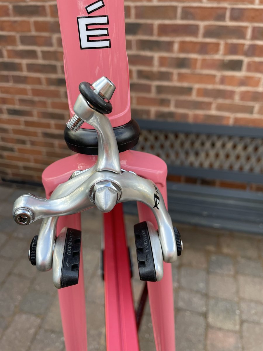 The Campag Kid tweet media