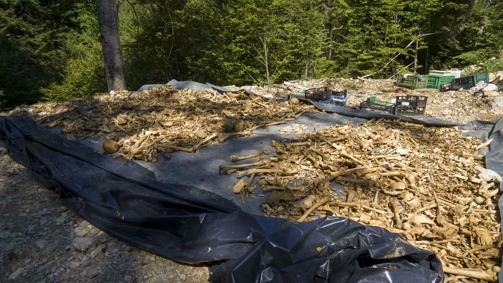 DrustvoHudajama's tweet image. Pokol na Kočevskem Rogu, enega največjih jug komunističnih zločinov, so vodili Edvard Kardelj, Boris Kidrič, Ivan Maček, Mitja Ribičič in Milka Planinc, ukaz za poboj žrtev pa je izdal jugoslovanski vodja Josip Broz Tito.
Še danes veliki sinovi naroda in heroji. Do kdaj še?