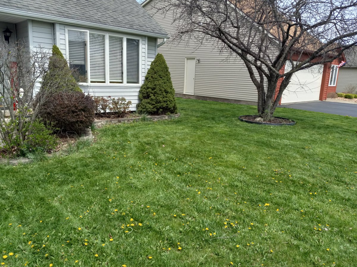HappyBigGrin's tweet photo. Front yard grass cut. ✅️
Sun blocked by SkyBastards✅️
Dry scratchy throat ✅️😮💨
Blue sky ❌️
#YouAreBugs
#ClimateSomething
#PretendItsContrails https://t.co/yw491G8U3f
