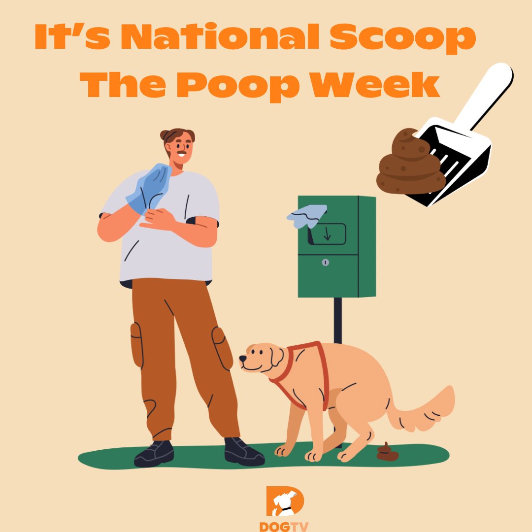 Doing our part in National Scoop the Poop Week! Remember, your fur-kid's duty is your duty too. Let's help keep our neighborhoods clean. 🐶❤️

#ScoopThePoopWeek  #dogtips #dogtiptuesday #pawhealth #happypaws #petowner #pettips