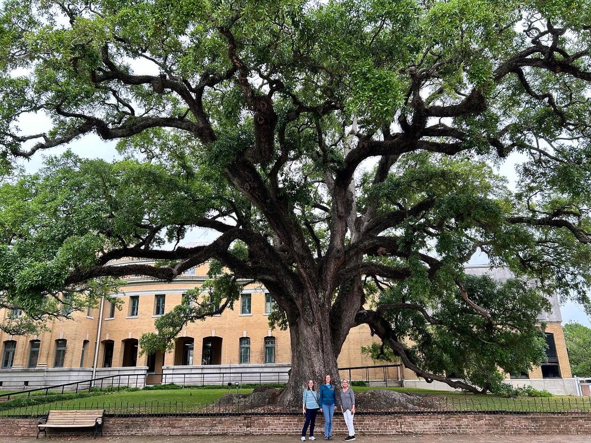 A glorious girls trip to the south. I learned to slow down & enjoy the moment. I also learned what a live oak tree is and want to plant one now! Wouldn't that be an awesome living souvenir from our trip?! 2/2 @abc7ny #love