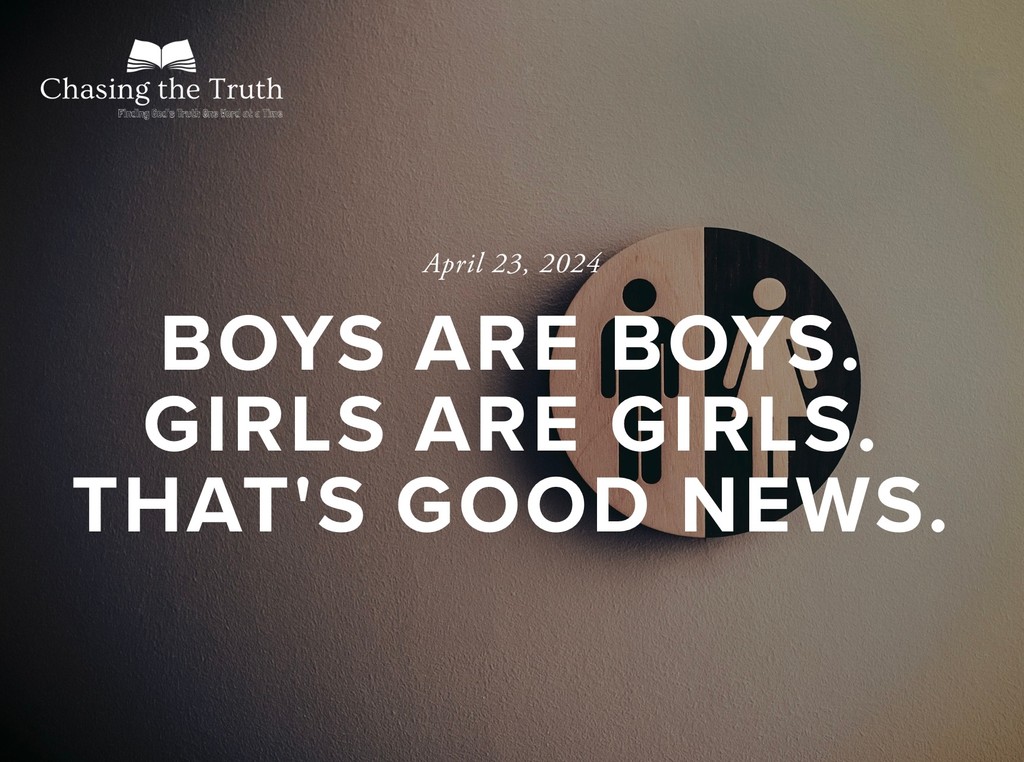 mchinson's tweet photo. God has made humans in 2 genders—male and female. Each person from conception is made in God’s image according to His design for their sex and gender. These genders are tied to our biology and are fixed. Binary gender is God's wise design for our good. https://t.co/4UR1fVJAwR https://t.co/QWms1uJDHe