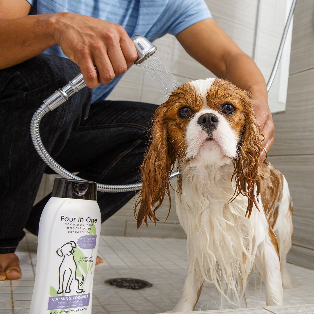Dogs can be dirt magnets! Washing them with our 4-in-1 Shampoo formulated with lavender and chamomile will leave their coat clean, silky and smooth. Now through April 30, get 20% off all Wahl Pet items when you use code PET20 at checkout. Start shopping: bit.ly/3WjVZdN