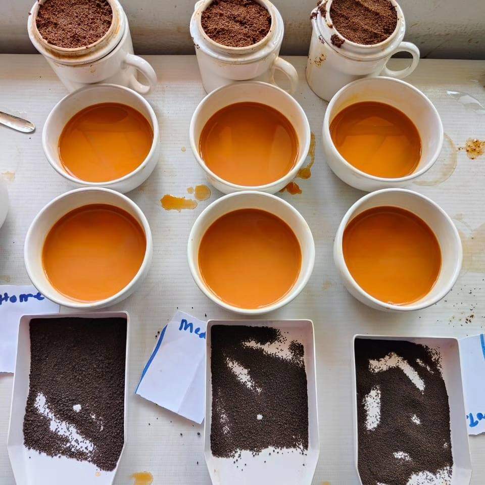 rikmhd953's tweet photo. The sweet aroma of Assam Tea ~ a gift of Nature to the World🌍.
Assam tea is famous  because of its richness, robust flavor, &amp; strong aroma.❤️☘️

#FreshNewSeason #FreshProduction #AssamTea #OrgaicTea #CTCTea https://t.co/zZwF8cOSyl