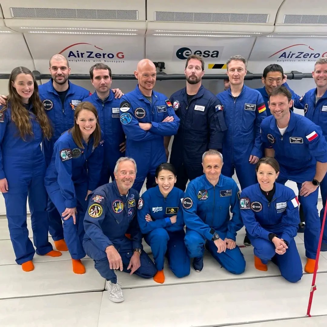 Gell-p Project tweet media