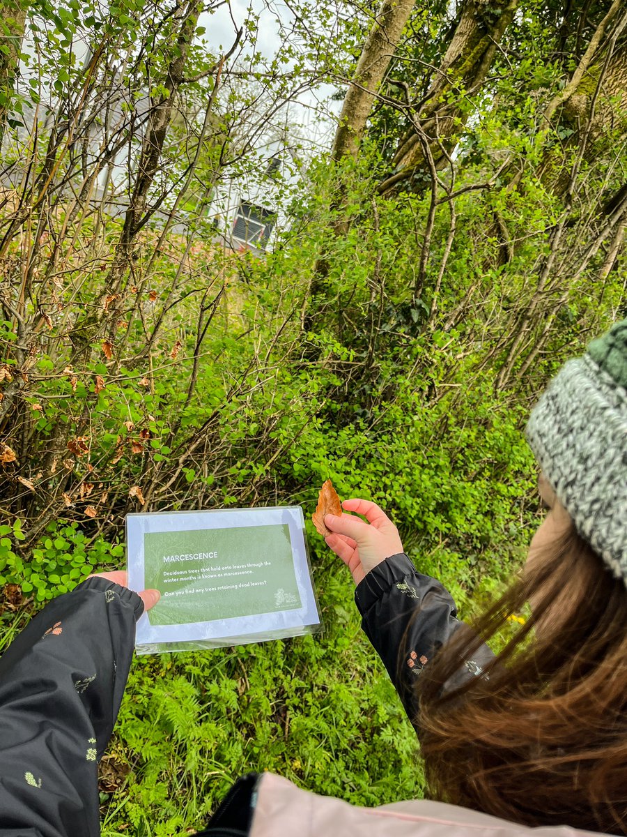 Field Studies Ireland tweet media