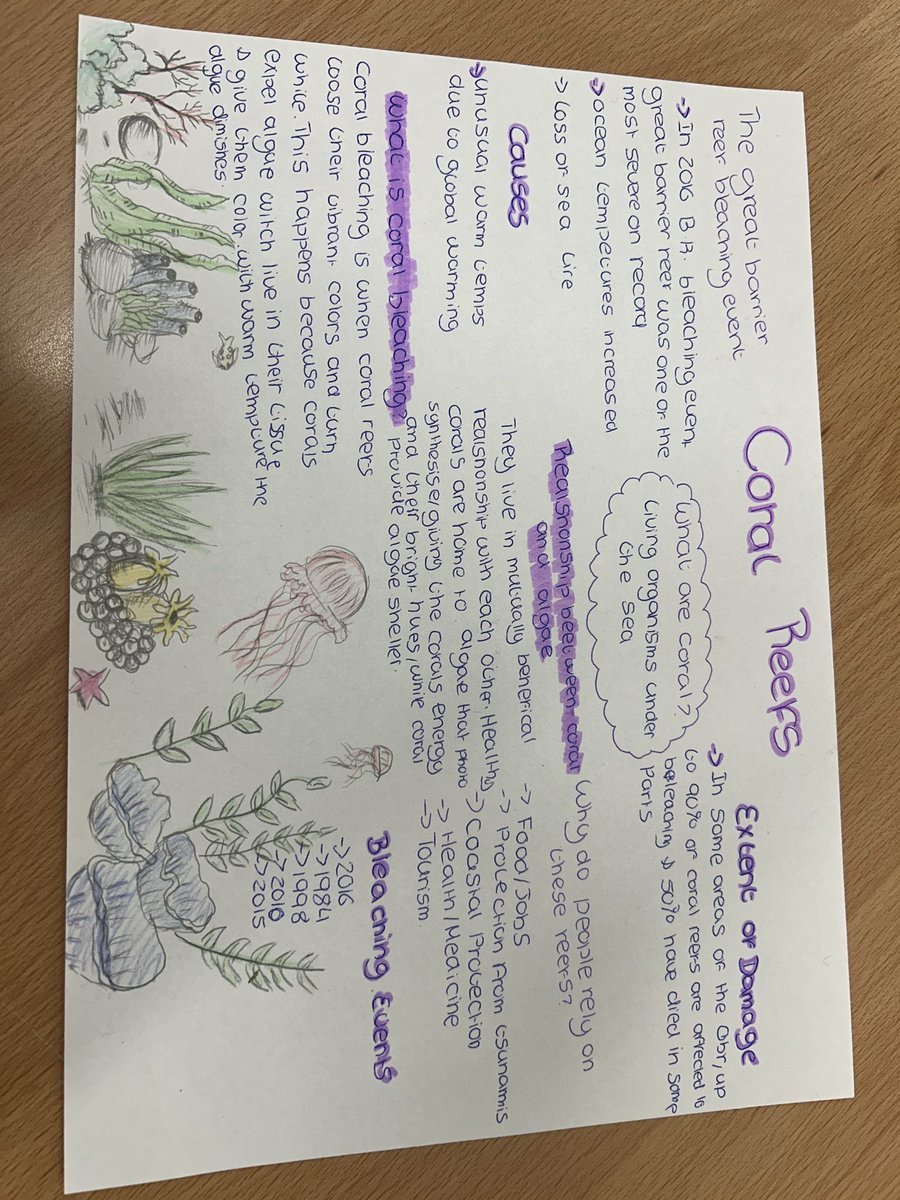 My TY class have been learning about climate change and how it affects the most vulnerable habitats! Excellent posters produced on ocean acidification and coral bleaching events🪸🐠 @FingalCC