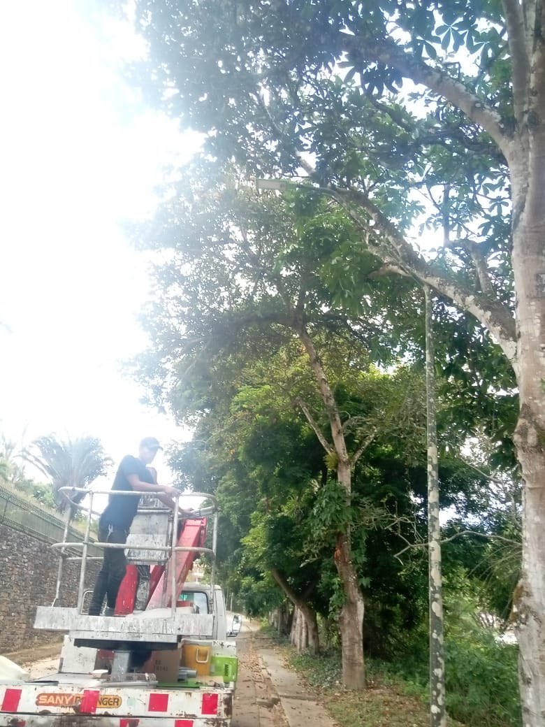 Hemos reemplazado luminarias por una moderna LED de 100W en la calle B2 de #LaLagunita #SeguimosTrabajando en pro de la seguridad vial💡🌱