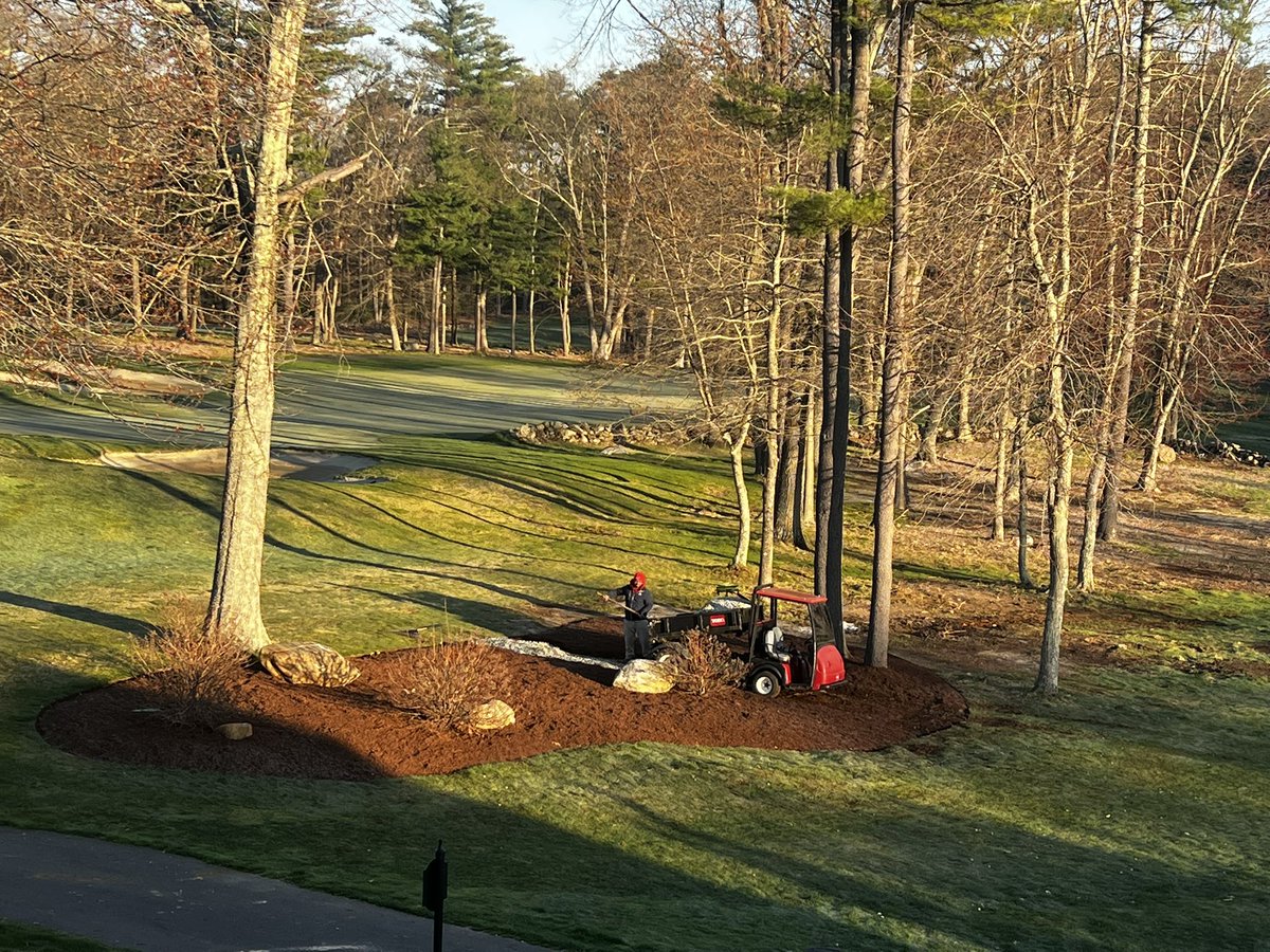 Scott Reynolds tweet media