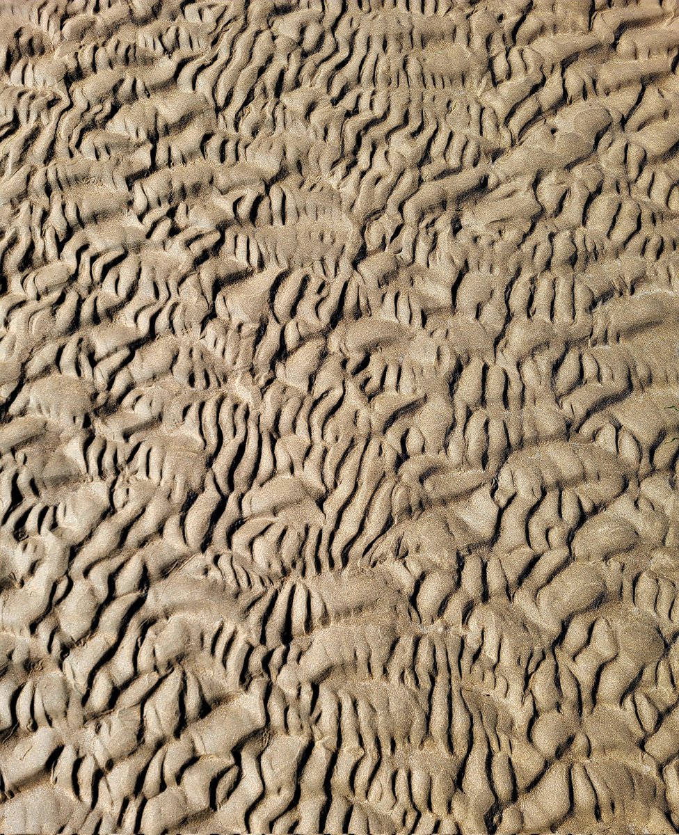 Springtide sand ripples. County Clare, Ireland.