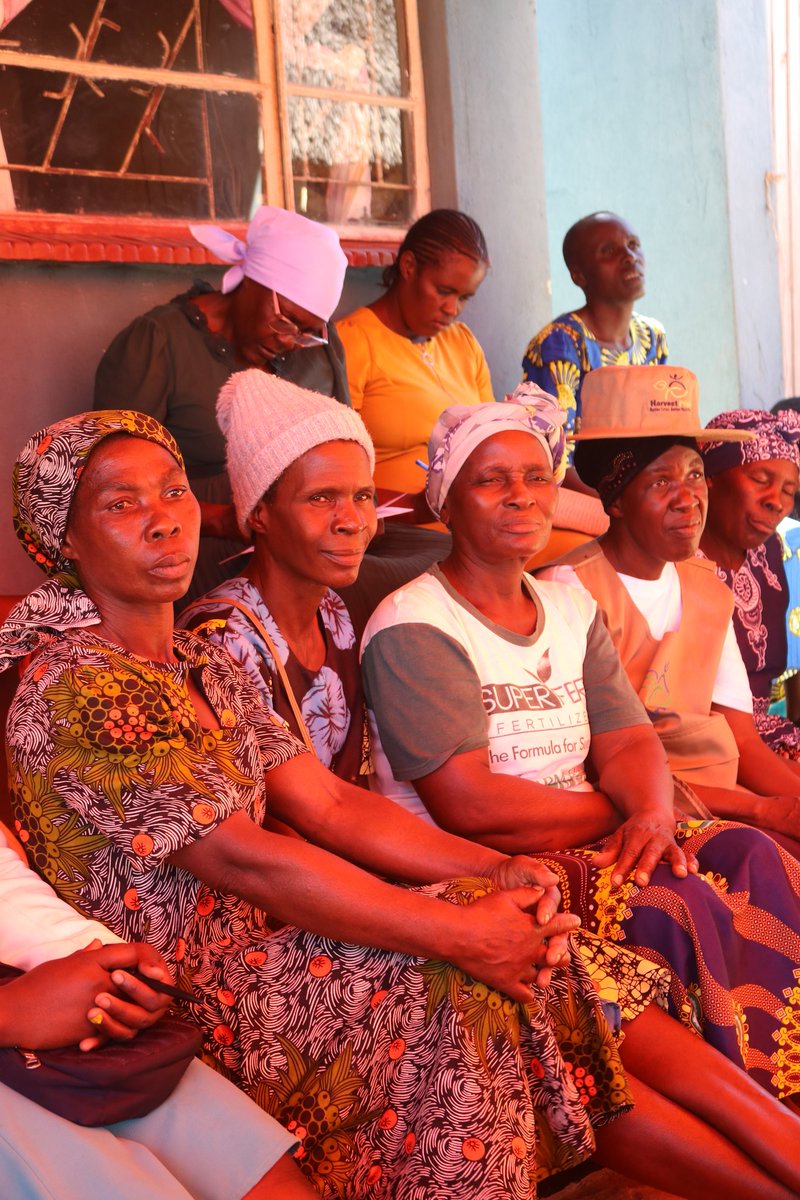 HarvestPlus Zimbabwe tweet media