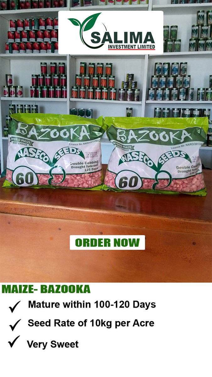 #OrderNow Bazooka from @NasecoSeeds , Come to @salimainvest