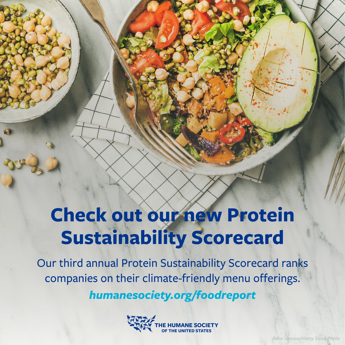 EXCITING NEWS: We just launched our third annual Protein Sustainability Scorecard! 🙌 Large scale factory farming causes billions of animals to suffer every year AND has a massive impact on our environment. We created this report to assess which food companies are taking their