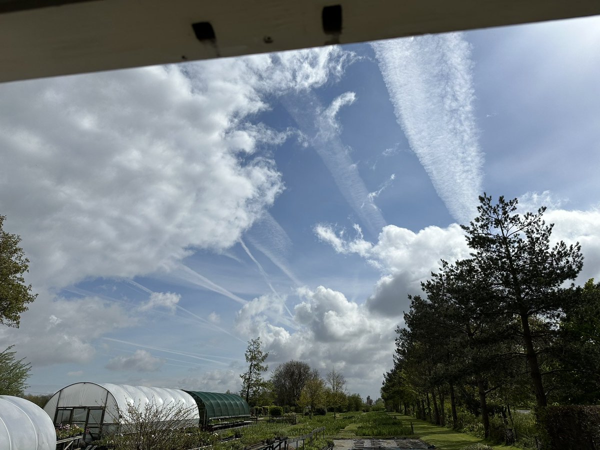 Just before the rain came! Oh and the wind… oh and the temp dropped… just another day in 2024 I guess! #greatbritishweather #2024 #nurserylife #plantnursery #yoursoluckytoworkoutside #ukgrowers #springtime