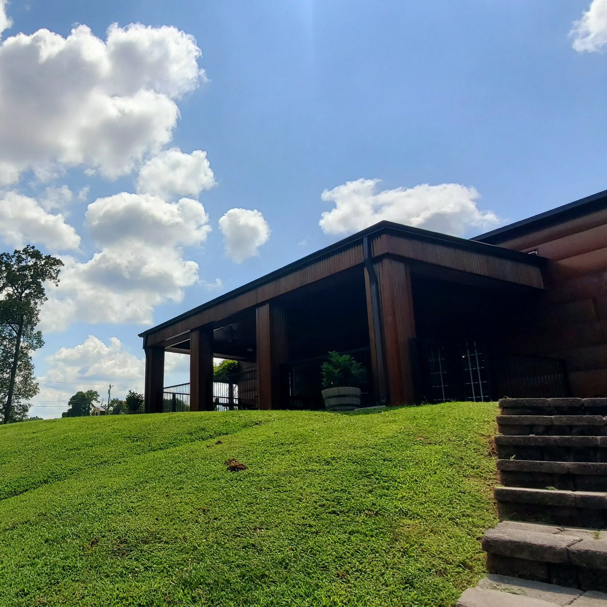 Celebrate World Book Day with a few chapters of your favorite classic; a few sips of your favorite vintage and a great view!

#WorldBookDay #worldbookday #georgiawinery #drinklocal #happyhour #georgiasfirstfarmwinery #sweetsouthernwine #goodmentalhealth