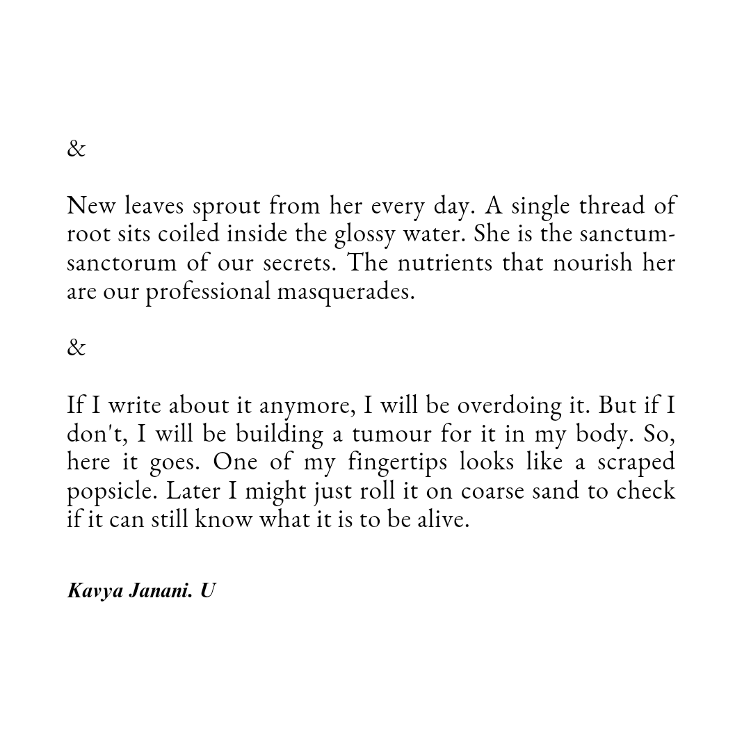 Day 23 of #NaPoWriMo Some illogical writing for Amy Kay's prompt on Insta. #KJDreamyPoet #poetry #poetrycommunity #PoetryMonth