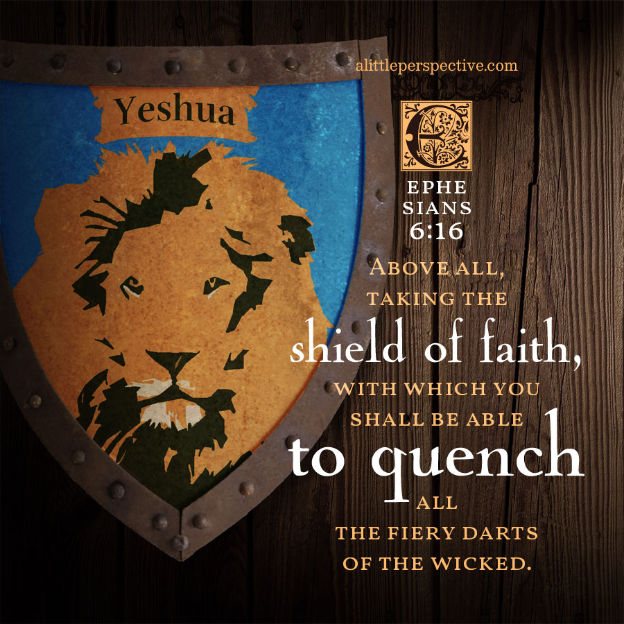 Denton Kollar tweet media