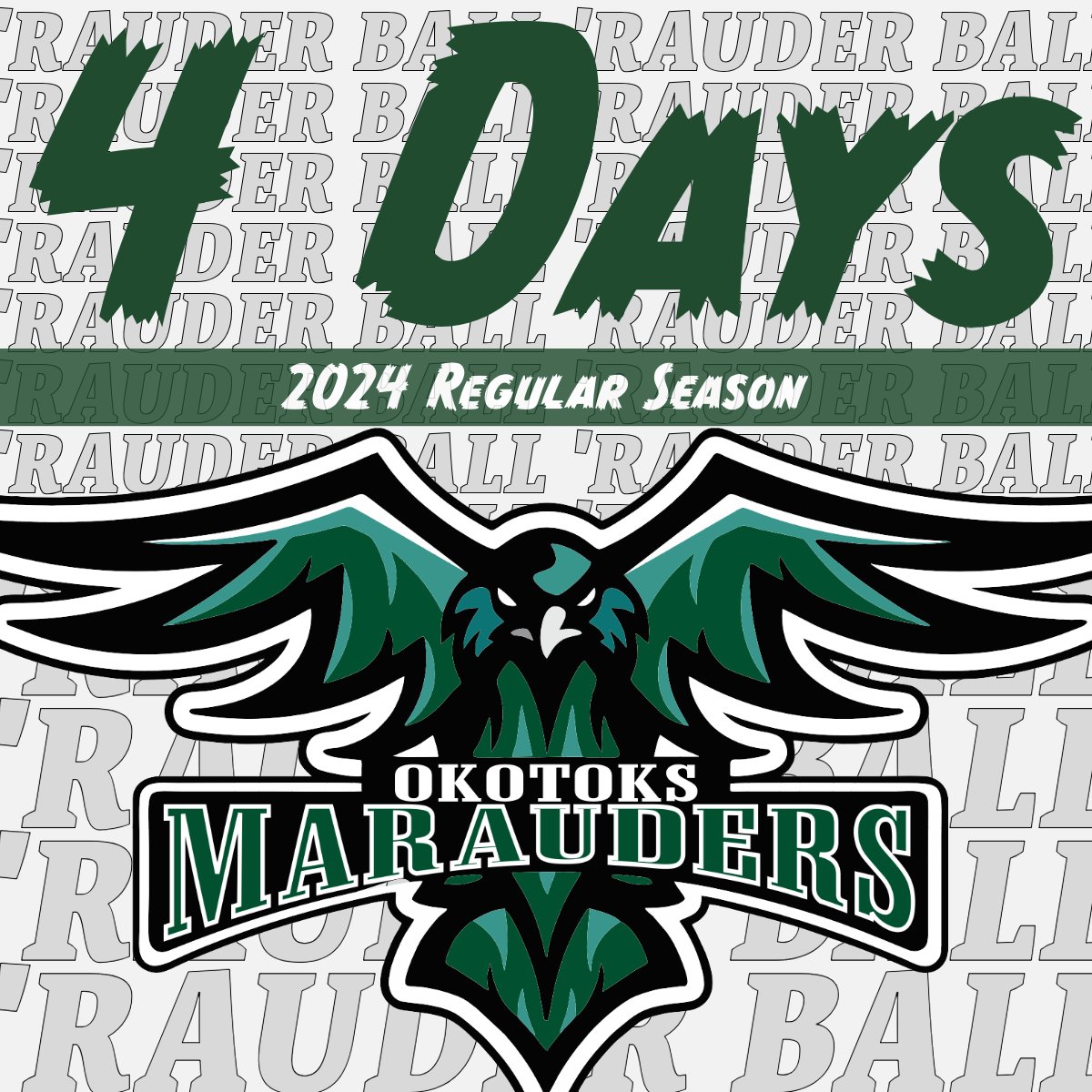 marauders_lax's tweet photo. 4 Day until the 'Rauders 2024 Season starts!
#rauderball #greentillwedie #rmll #jrbtier1 https://t.co/iOPuO1P5hX