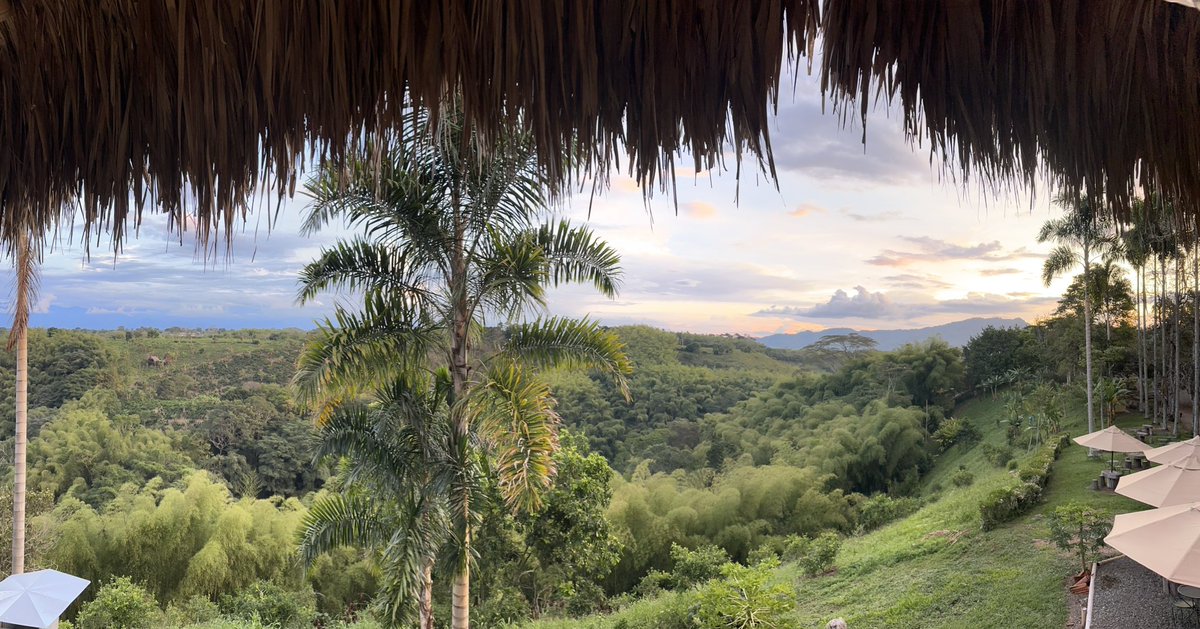 A time was had. 🇨🇴

#Salento #Colombia #FarmLife #NatureIsHealing #LongWeekend