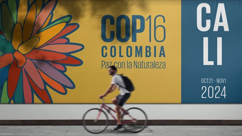 The countdown to #COP16Colombia has begun 🇨🇴 The theme, 'Peace with Nature,' reflects a commitment to biodiversity conservation. Learn more about this pivotal event and its goals from @theGEF🌿🐾 ➡️thegef.org/newsroom/blog/…