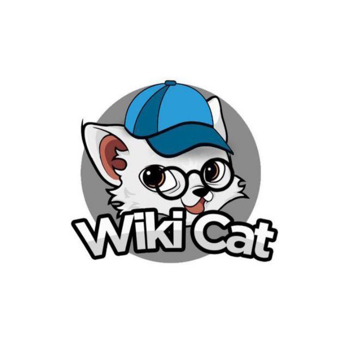 @cryptojourneyrs Yes #wikicat