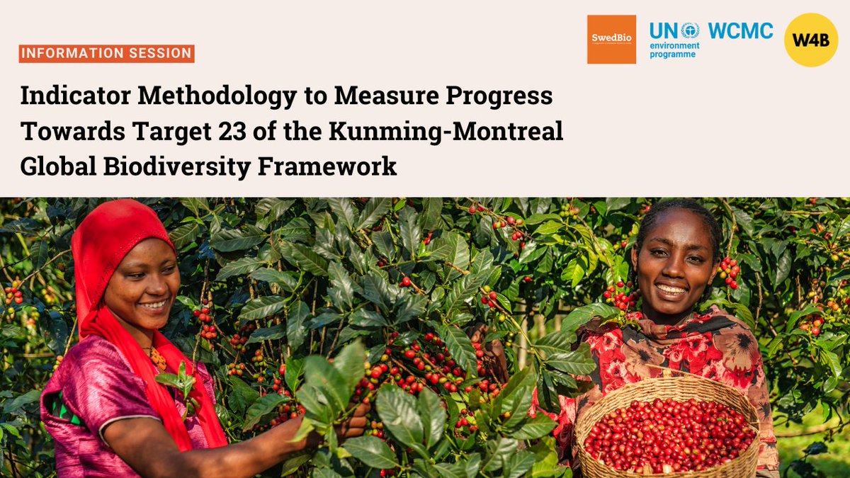 📢 #HappeningTOMORROW @Women4Biodiversity & @unepwcmc are hosting 1 of 2 informative sessions. Learn how a new indicator methodology can help track progress towards #Target23 of the #KMGBF. 🗓️ 24 April (Asia-Pacific & CEE) 🗓️ 26 April (Africa & Americas) women4biodiversity.org/information-se…
