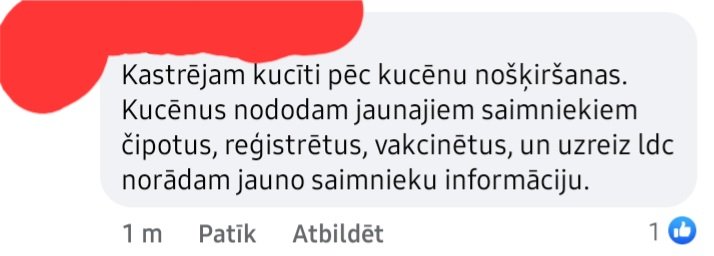 Šodien uzzināju, kas ir jādara, lai novērstu suņu pavairošanu.