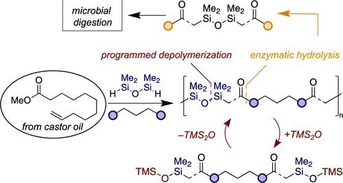 Polymers from Plant Oils Linked by Siloxane Bonds for Programmed Depolymerization

@J_A_C_S #Chemistry #Chemed #Science #TechnologyNews #news #technology #AcademicTwitter #AcademicChatter

pubs.acs.org/doi/10.1021/ja…
