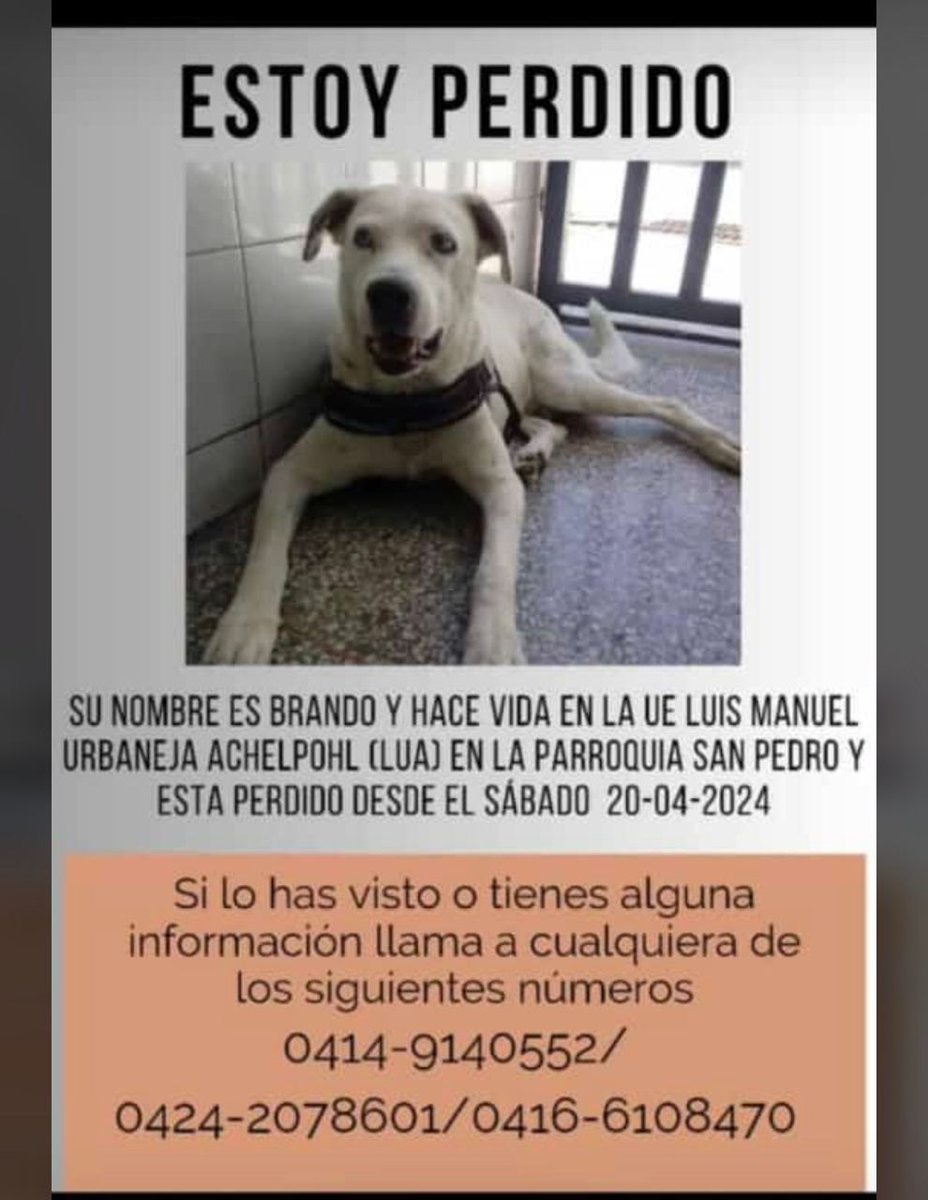 Atención Parroquia San Pedro. Se busca.