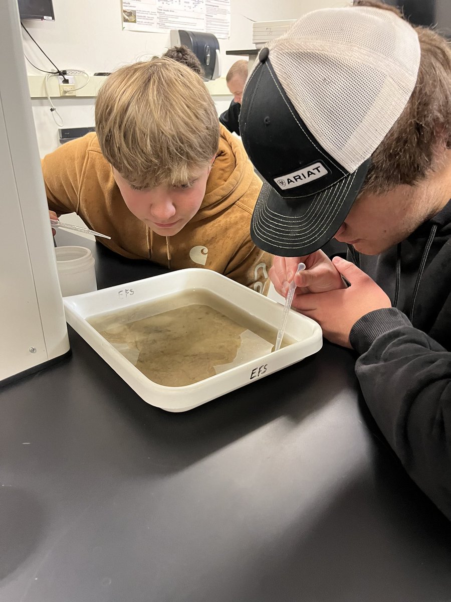 mayallscience's tweet photo. Biology and Ag Science visited @emiquon today. We had a great time finding and identifying macroinvertebrates. #4teamvalley https://t.co/2Bbc37hUBn