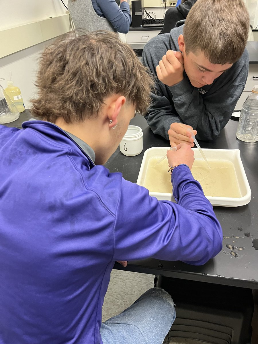 mayallscience's tweet photo. Biology and Ag Science visited @emiquon today. We had a great time finding and identifying macroinvertebrates. #4teamvalley https://t.co/2Bbc37hUBn