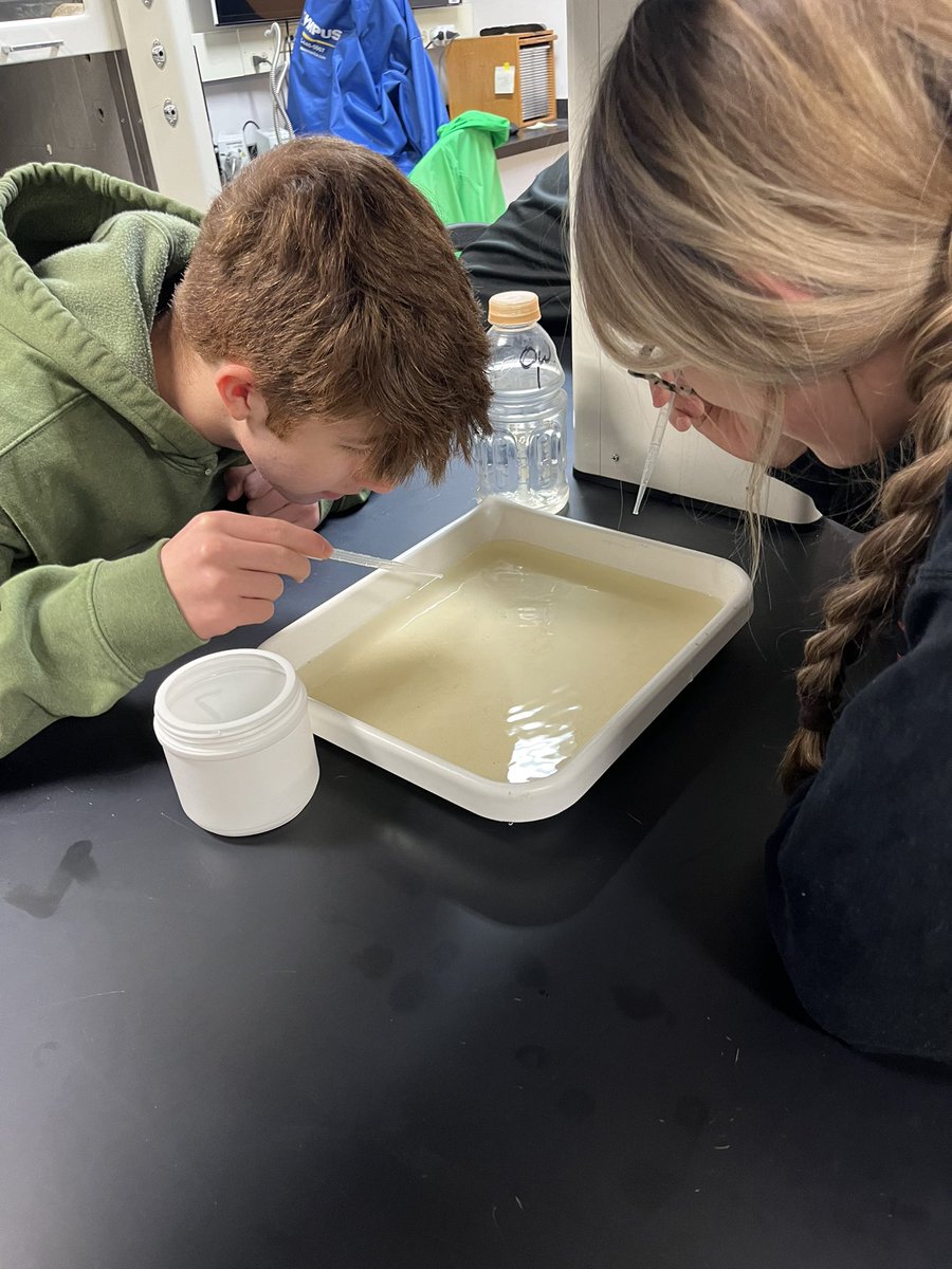 mayallscience's tweet photo. Biology and Ag Science visited @emiquon today. We had a great time finding and identifying macroinvertebrates. #4teamvalley https://t.co/2Bbc37hUBn