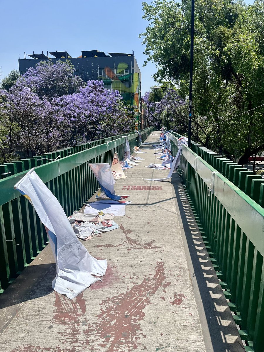 Escobula's tweet photo. @Chertorivski No solo ellos, todos ponen su basura y no paran! Es momento de cambiar la estrategia, la tierra no la heredamos, la pedimos prestada de las generaciones futuras!! 🙏🏾🤌🏾 https://t.co/94Gc2Ux4iV