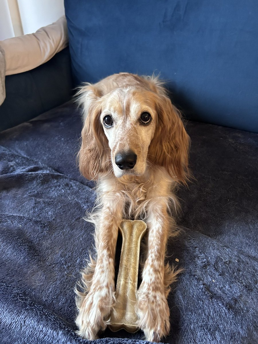 Он теперь ее охраняет,мне доверяет только