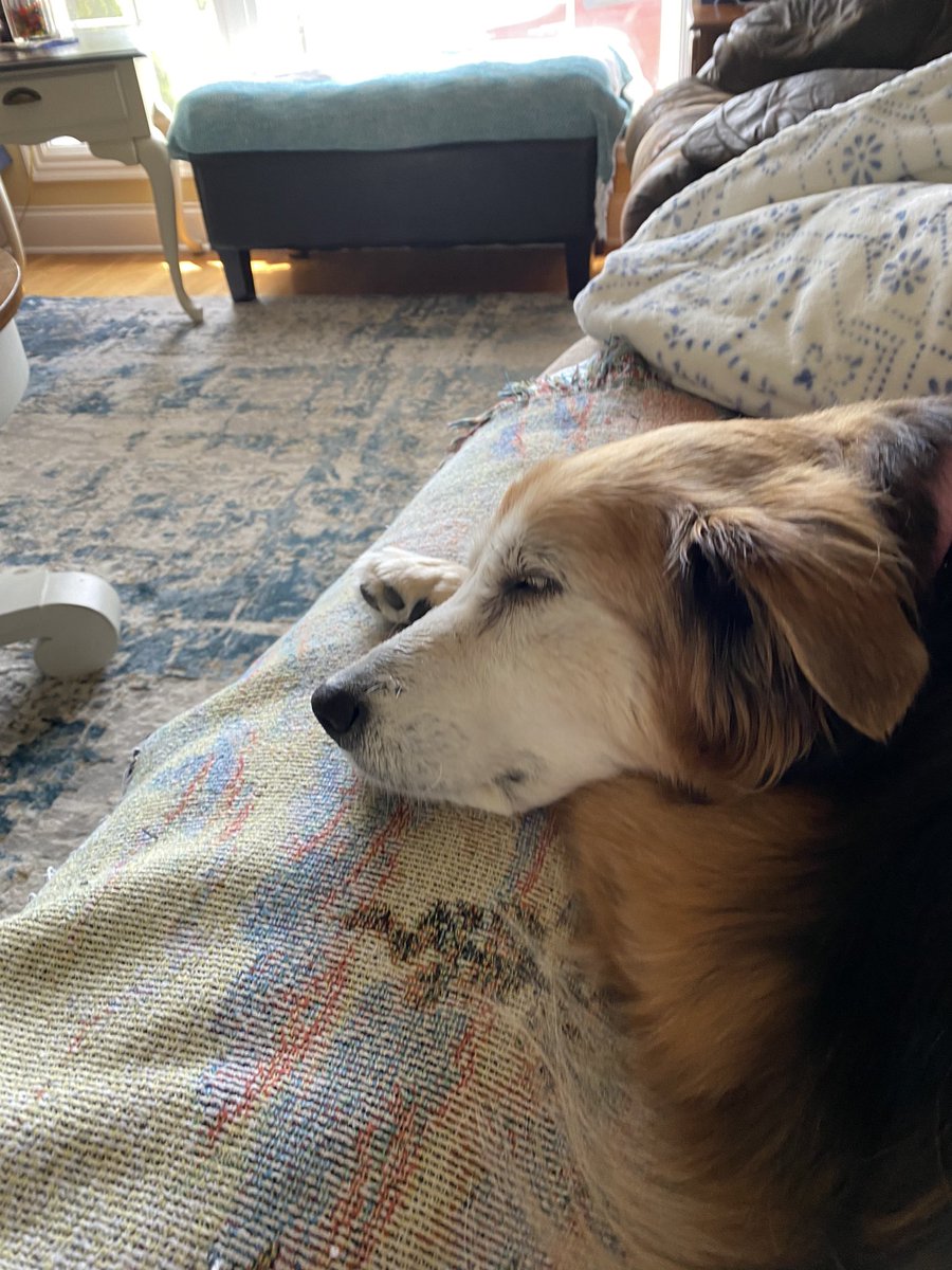 Benji🌈 & Madison&Jer🌈 tweet media