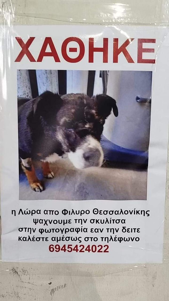 SOS #ΧΑΘΗΚΕ ΧΑΘΗΚΕ Η ΛΩΡΑ ΑΠΟ ΦΙΛΥΡΟ ΘΕΣΣΑΛΟΝΙΚΗΣ.ΜΗΠΩΣ ΤΗΝ ΕΙΔΑΤΕ ;