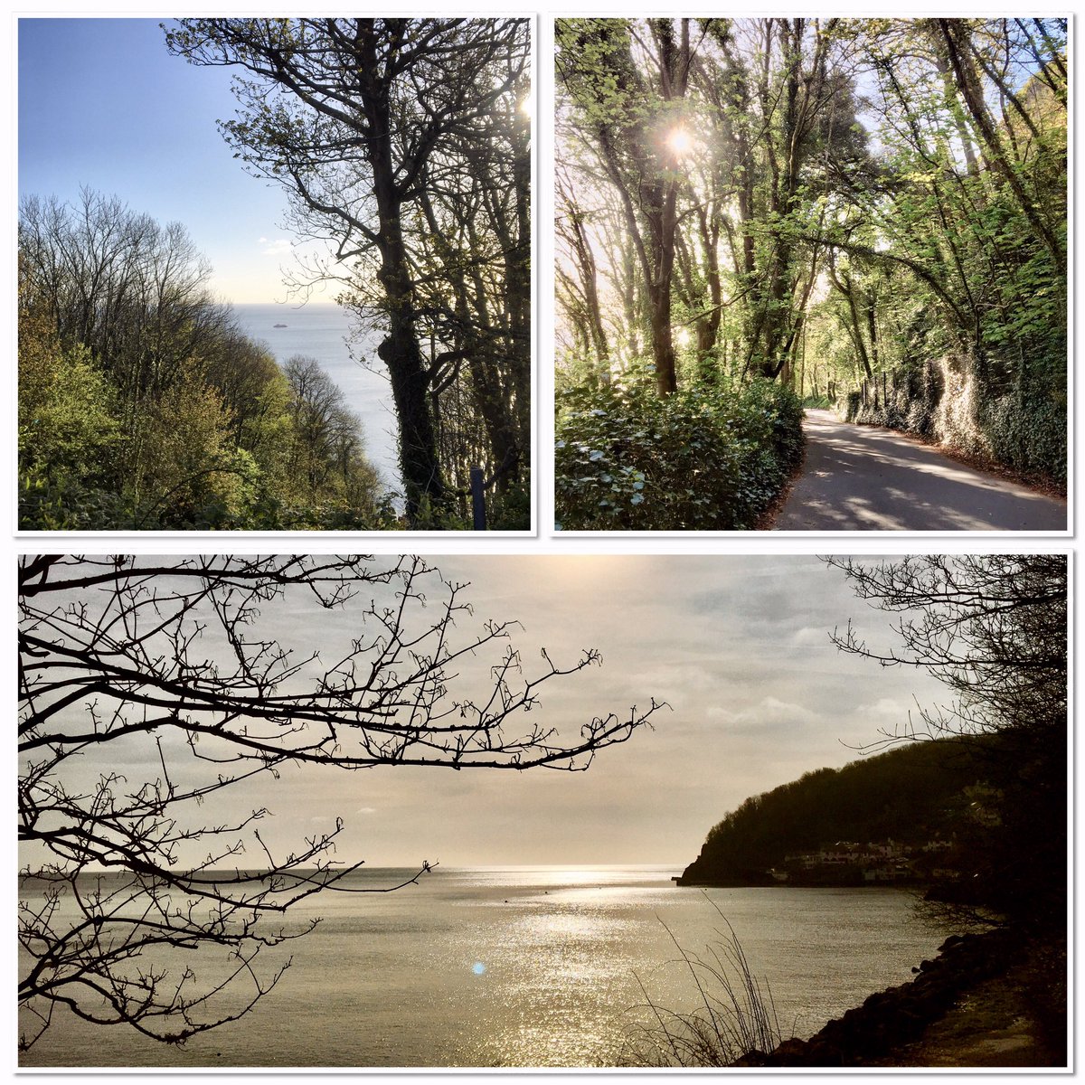 As you wander down the hill to Oddicombe, the sparkling sea beyond can be glimpsed through the trees. As you round the final corner, why not stop a while and savour the view? Then carry on down & savour some 3DW treats and delicious-ness beside the sea 😊 OPEN from 9am Wednesday