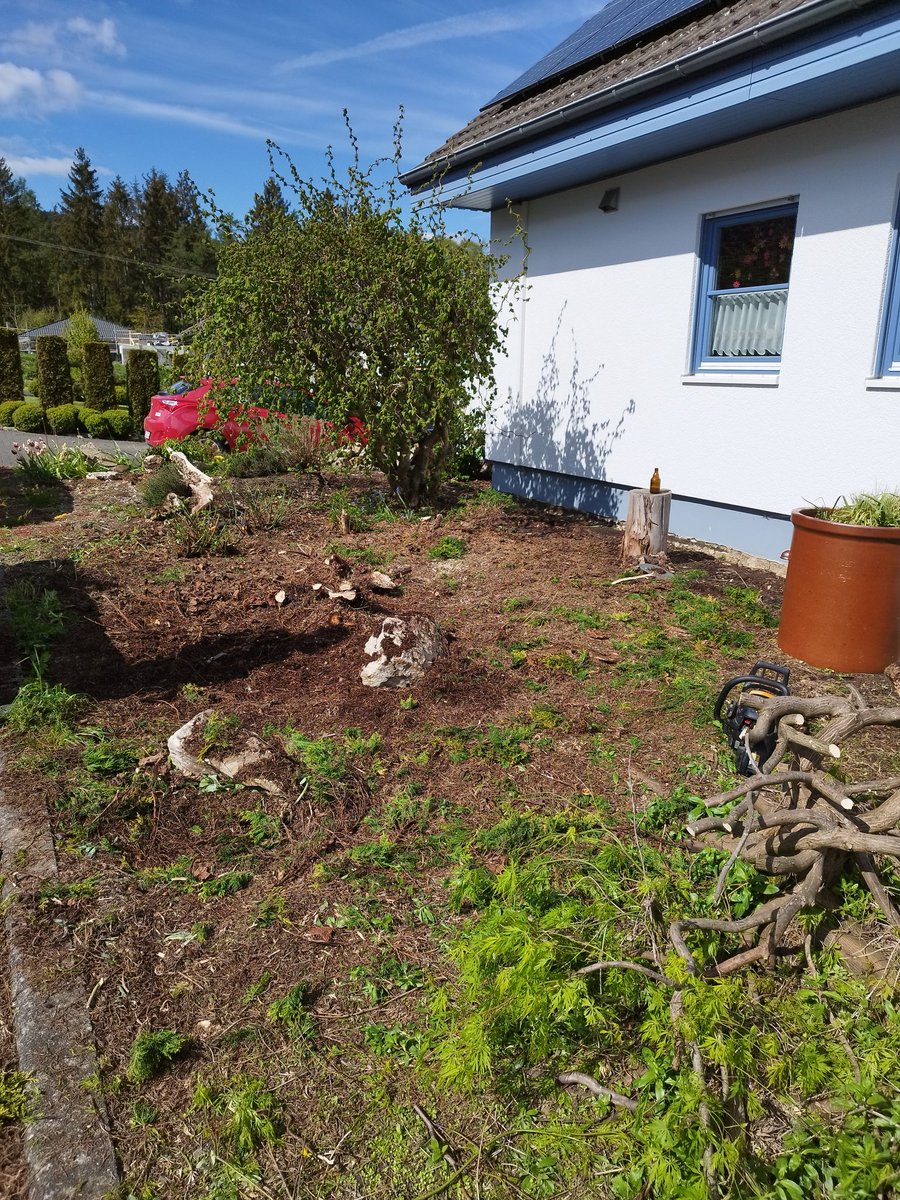 Drei harte Tage Arbeit. Terrasse abgebaut und die großen Pflanzen im Vorgarten entfernt. Jetzt kann der Bagger anrücken, sobald der Boden abgetrocknet ist.